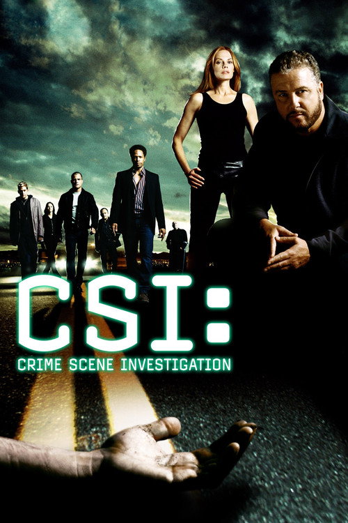 CSI: Crime Scene Investigation – S09E03