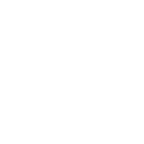 Battle Royale