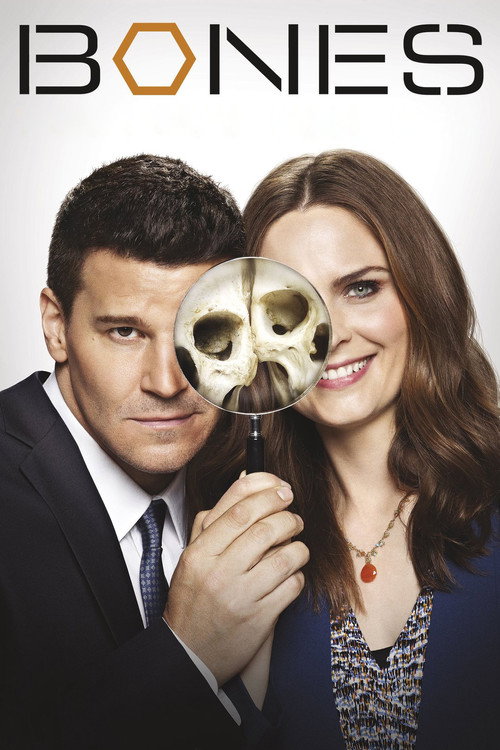 Bones – S07E03