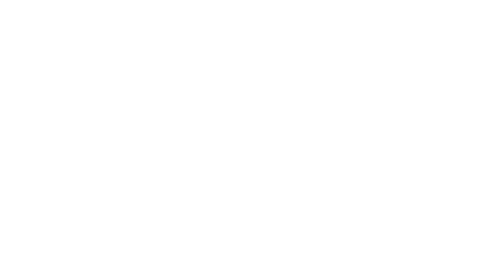 Public Enemies