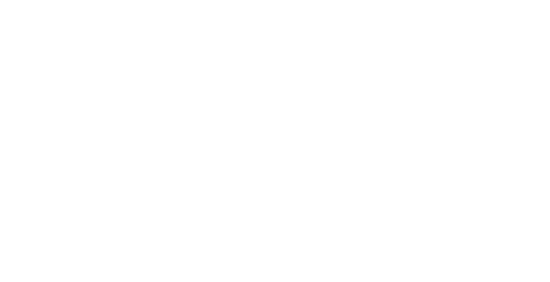 The Lovely Bones