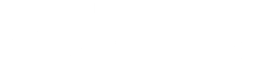 The Visit