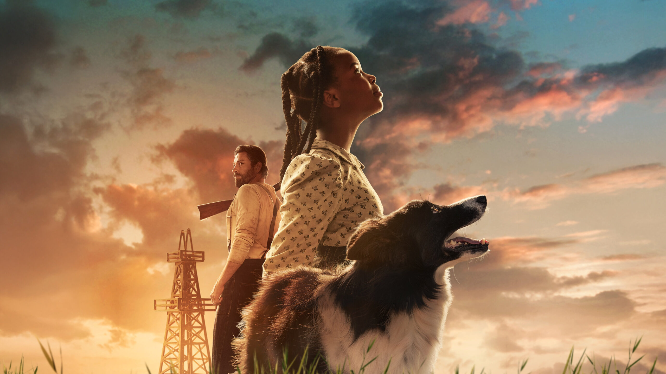 Sarah’s Oil