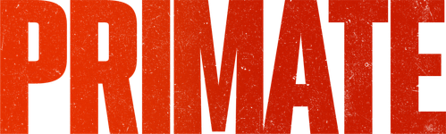Primate