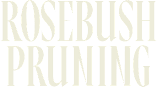 Rosebush Pruning